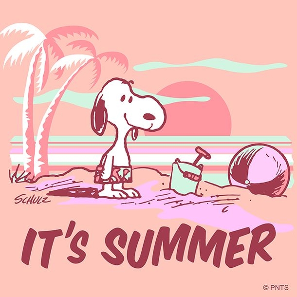 10 Happy & Welcome Summer Quotes With Snoopy To Bring In The New Summer Season - picture 11