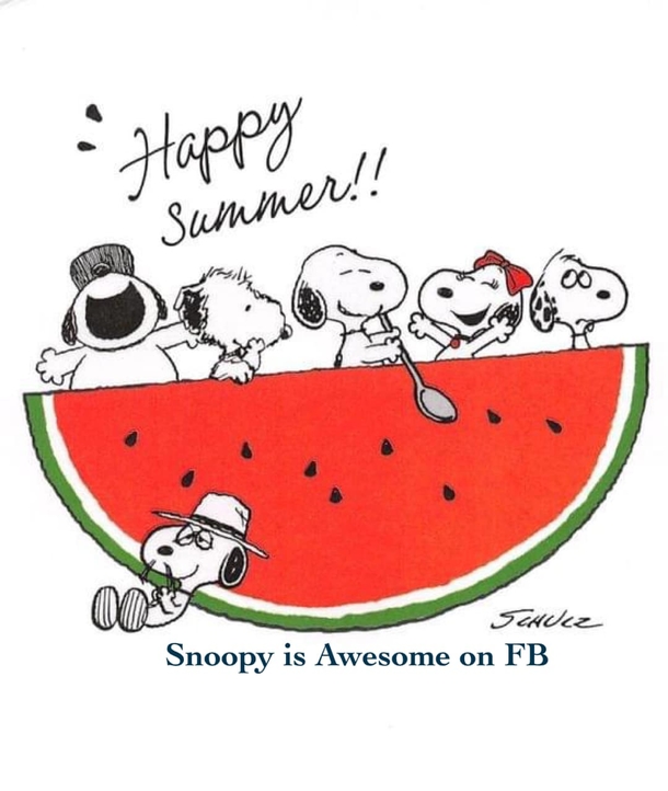 10 Happy & Welcome Summer Quotes With Snoopy To Bring In The New Summer Season - picture 2