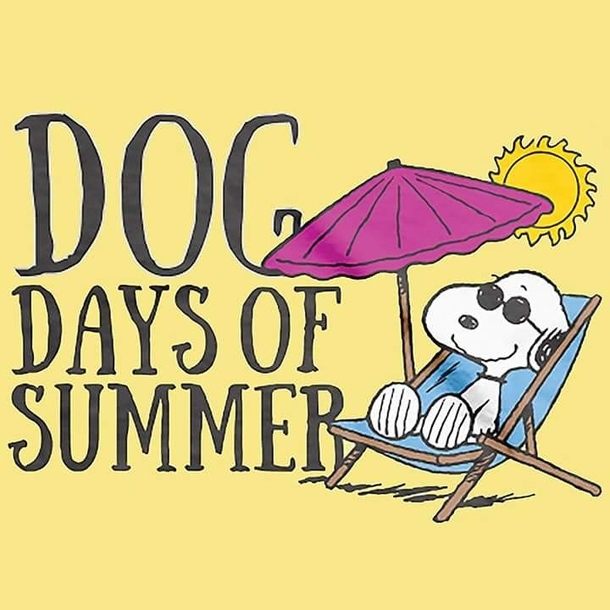 10 Happy & Welcome Summer Quotes With Snoopy To Bring In The New Summer Season - picture 7