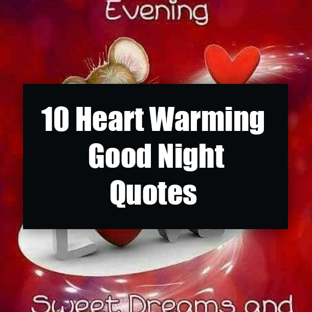 10 Heart Warming Good Night Quotes