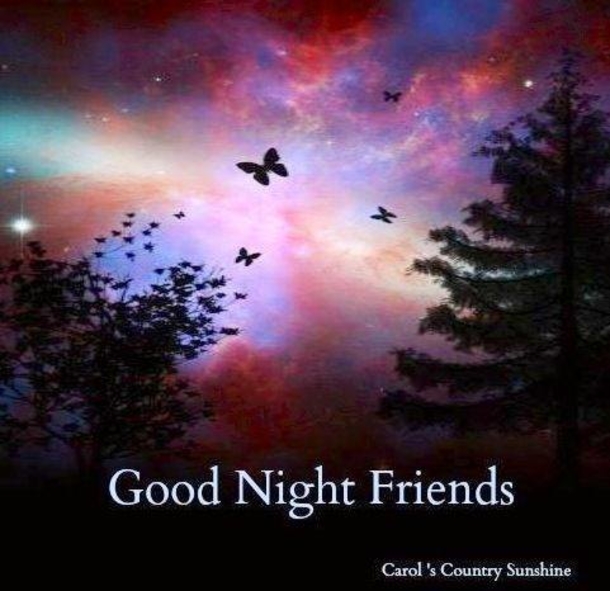 10 Heart Warming Good Night Quotes - picture 10