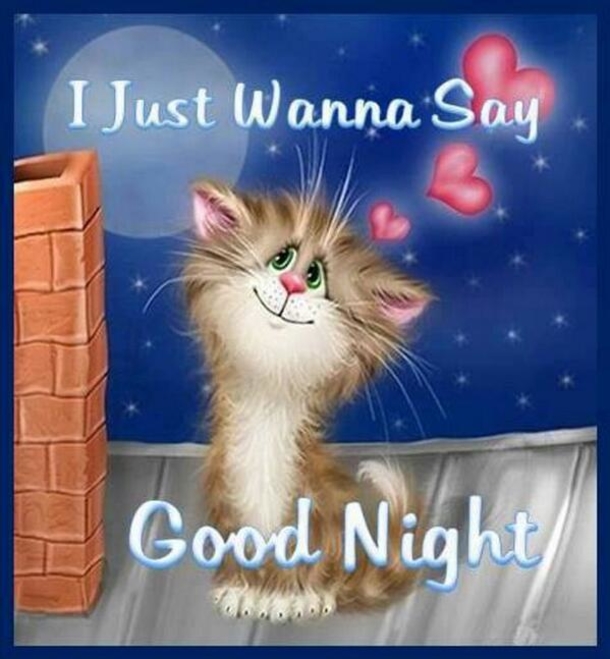 10 Heart Warming Good Night Quotes - picture 3