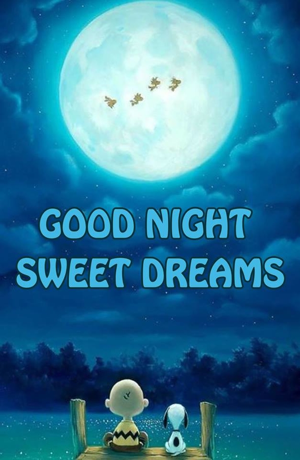 10 Heart Warming Good Night Quotes - picture 4
