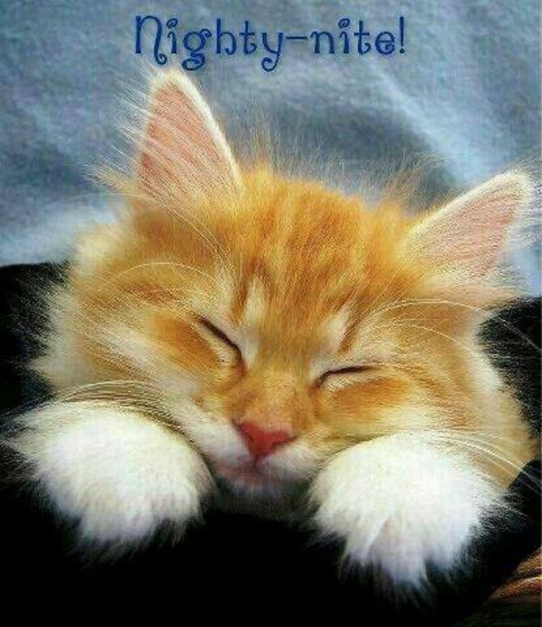 10 Heart Warming Good Night Quotes - picture 6