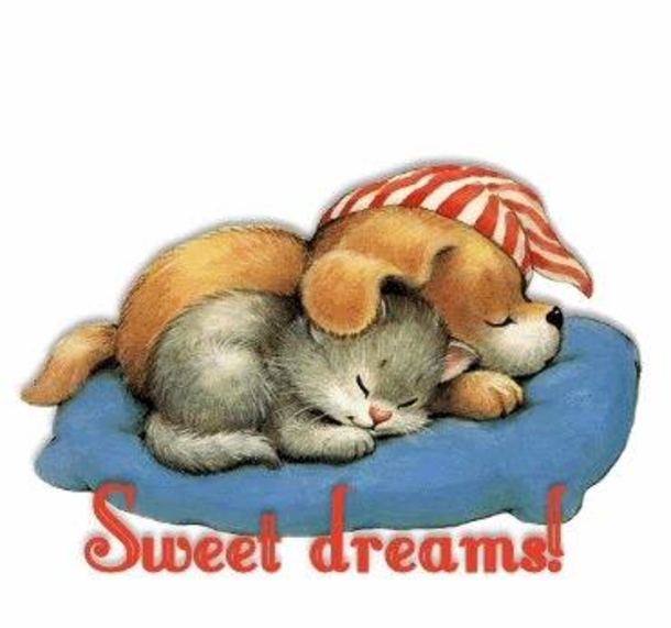 10 Heart Warming Good Night Quotes - picture 8