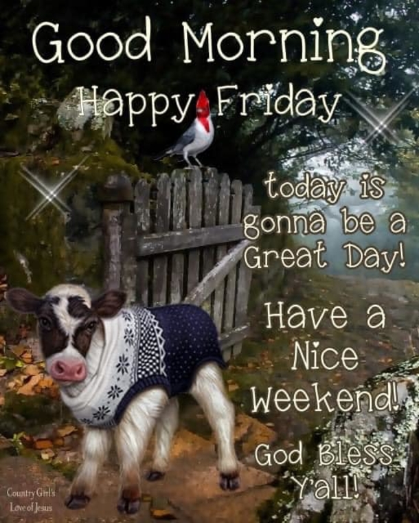 10 Heartfelt Good Morning Happy Friday Quotes For A Great Morning - picture 10