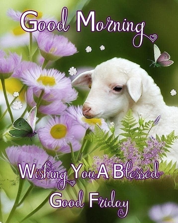 10 Heartfelt Good Morning Happy Friday Quotes For A Great Morning - picture 4