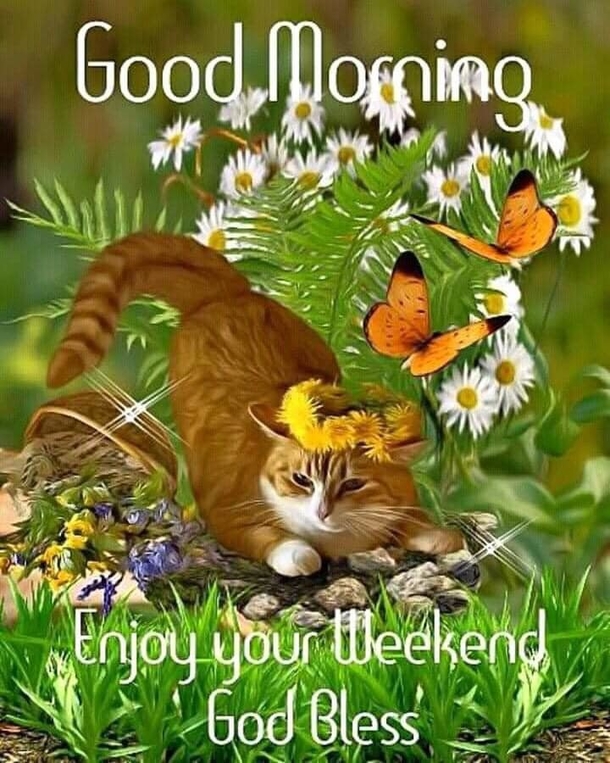 10 Heartfelt Good Morning Happy Friday Quotes For A Great Morning - picture 9