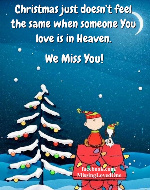 10 Heartfelt Quotes About Missing Loved Ones In Heaven During Christmas - picture 9