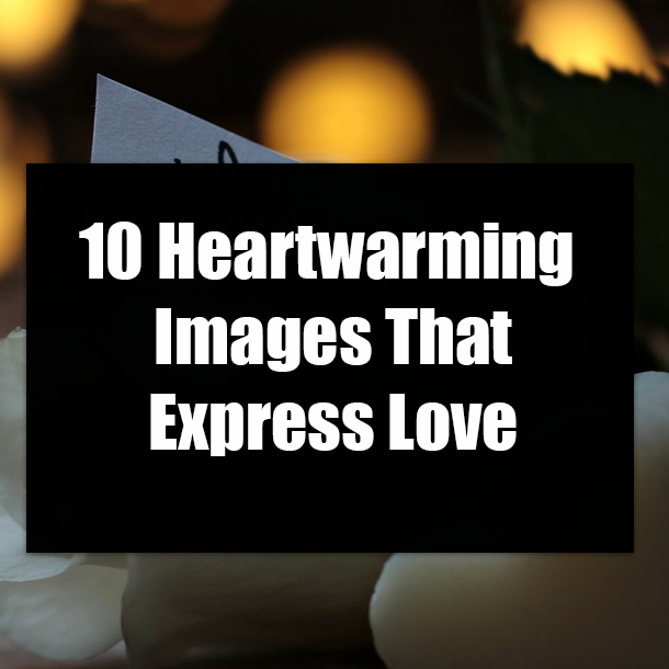 10 Heartwarming Images That Reflect The Feeling Of Love