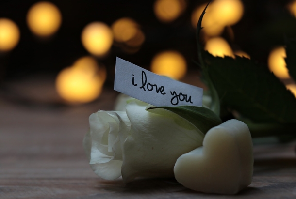 10 Heartwarming Images That Reflect The Feeling Of Love - picture 10