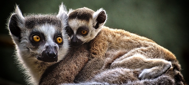 10 Heartwarming Images That Reflect The Feeling Of Love - picture 8