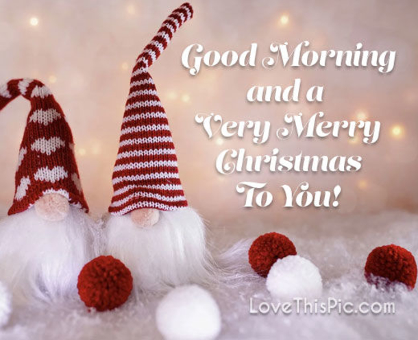 10 Heartwarming & Touching Merry Christmas Quotes For 2022 - picture 2