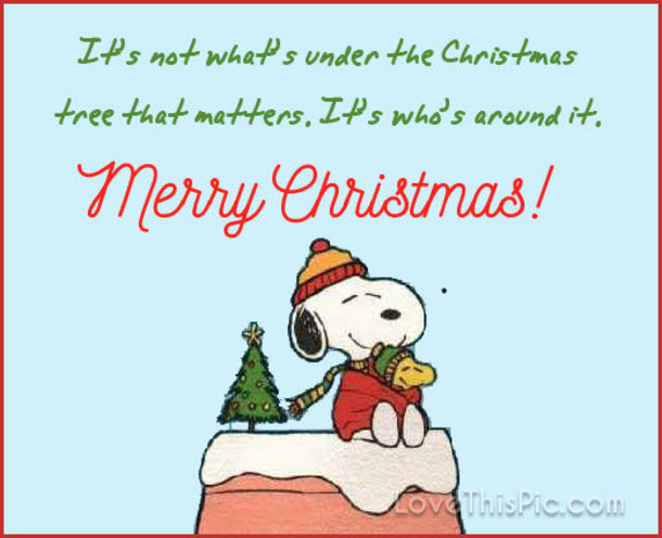 10 Heartwarming & Touching Merry Christmas Quotes For 2022 - picture 3