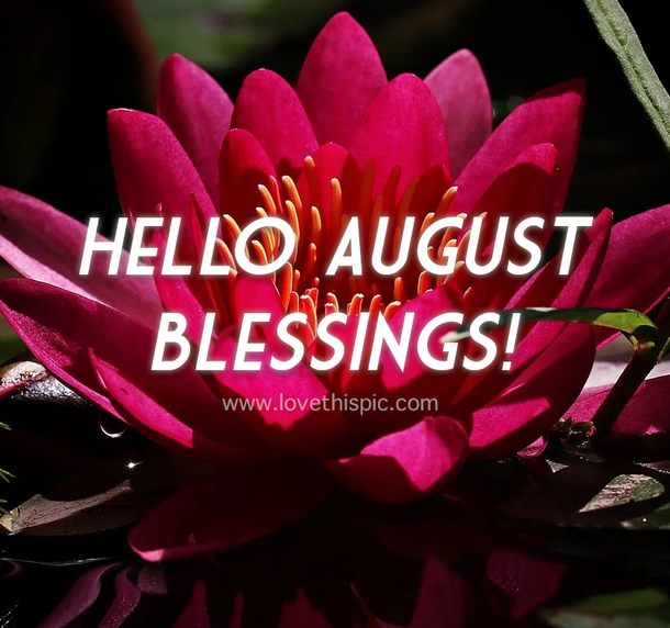 10 Hello August 2022 Picture Quotes To Start A Happy Month - picture 9