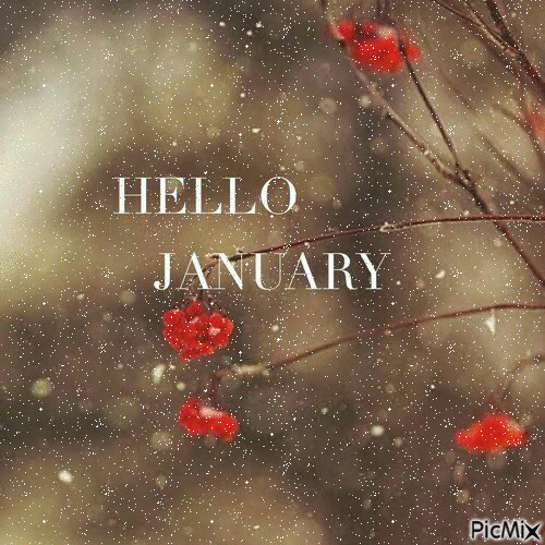 10 Hello January Gifs To Appreciate The Brand New Month - picture 3