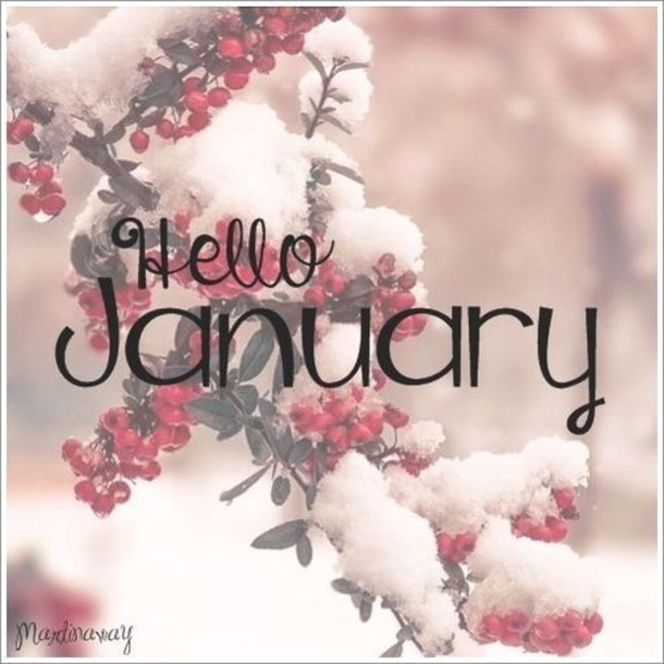 10+ Hello January Images To Welcome The New Month - picture 8