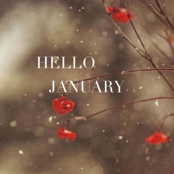 10 Hello January Quotes - picture 3