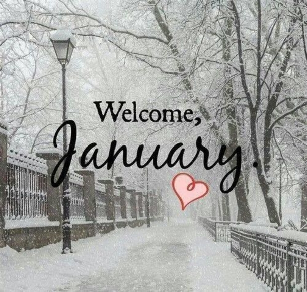 10 Hello January Quotes For The New Year - picture 8