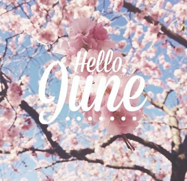 10 Hello June Quotes With Pictures - picture 11
