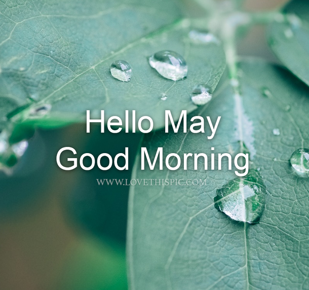 10 Hello May Messages, Quotes And Greetings - picture 12