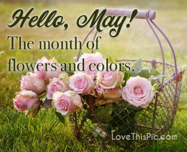 10 Hello May Messages, Quotes And Greetings - picture 3