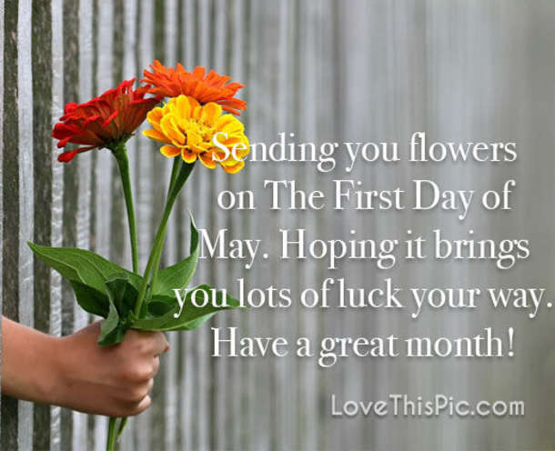 10 Hello May Messages, Quotes And Greetings - picture 4