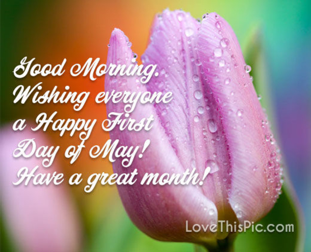 10 Hello May Messages, Quotes And Greetings - picture 5