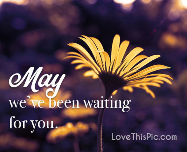 10 Hello May Messages, Quotes And Greetings - picture 6