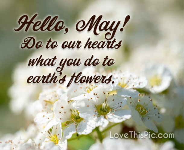 10 Hello May Messages, Quotes And Greetings - picture 8