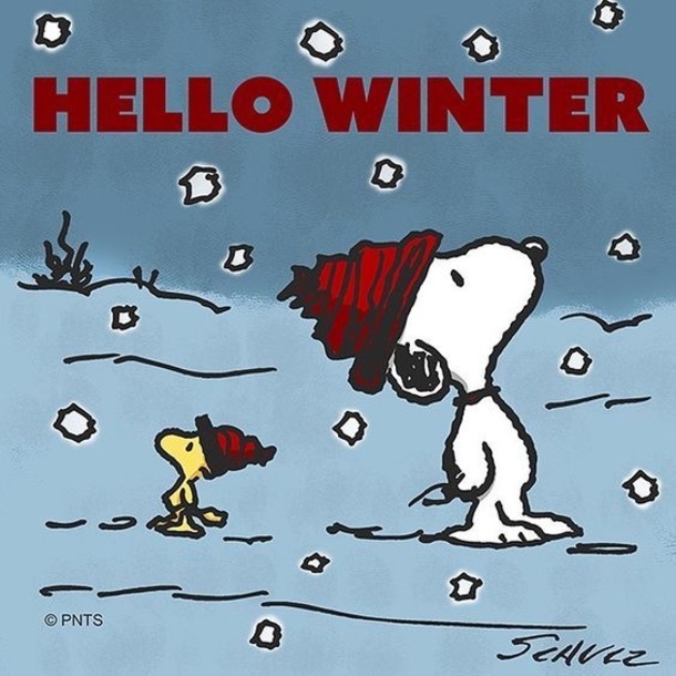 10 Hello Winter And Happy Winter Quotes - picture 9