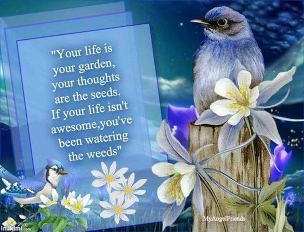 10 Helpful Life Advice Quotes To Better Yourself - picture 7