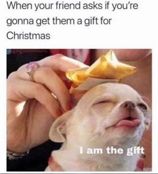 10 Hilarious Christmas Memes That'll Get You In The Holiday Spirit Early! - picture 10