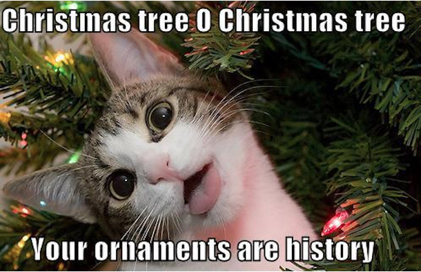 10 Hilarious Christmas Memes That'll Get You In The Holiday Spirit Early! - picture 2