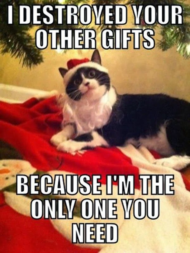 10 Hilarious Christmas Memes That'll Get You In The Holiday Spirit Early! - picture 3