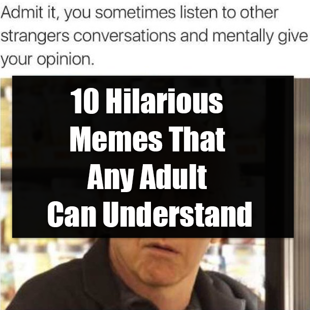 10 Hilarious Memes That Any Adult Can Understand