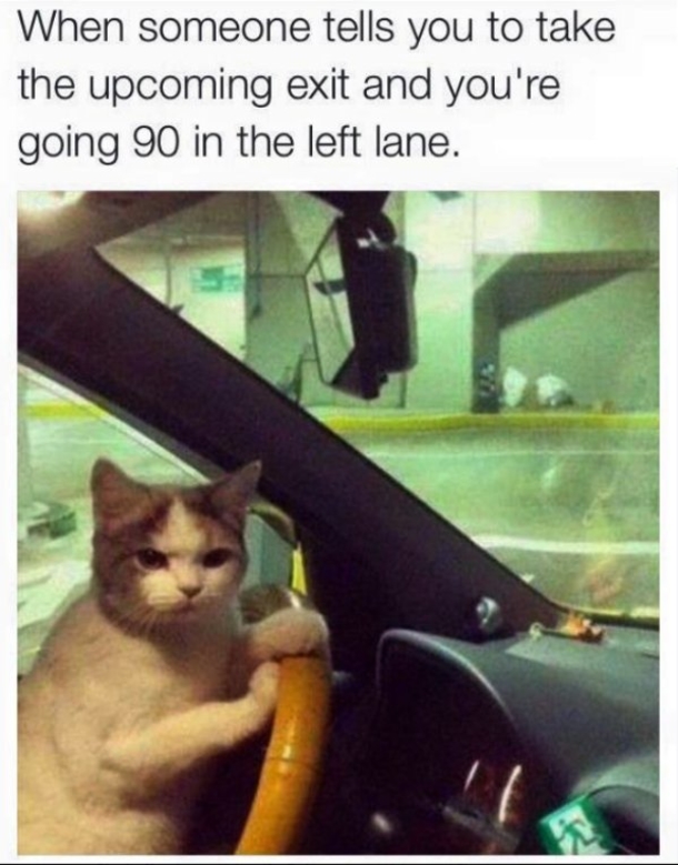 10 Hilarious Memes That Any Adult Can Understand - picture 10