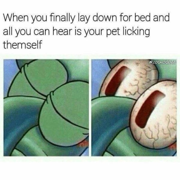 10 Hilarious Memes That Make Complete Sense - picture 8