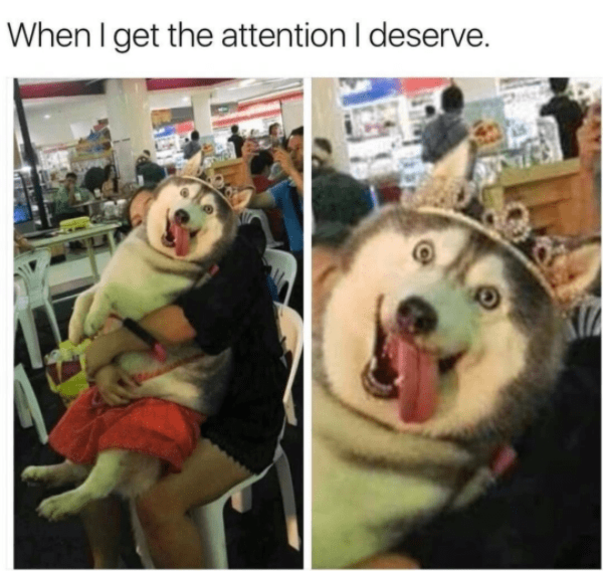 10 Hilarious Memes That Will Have You Losing Your Mind - picture 5