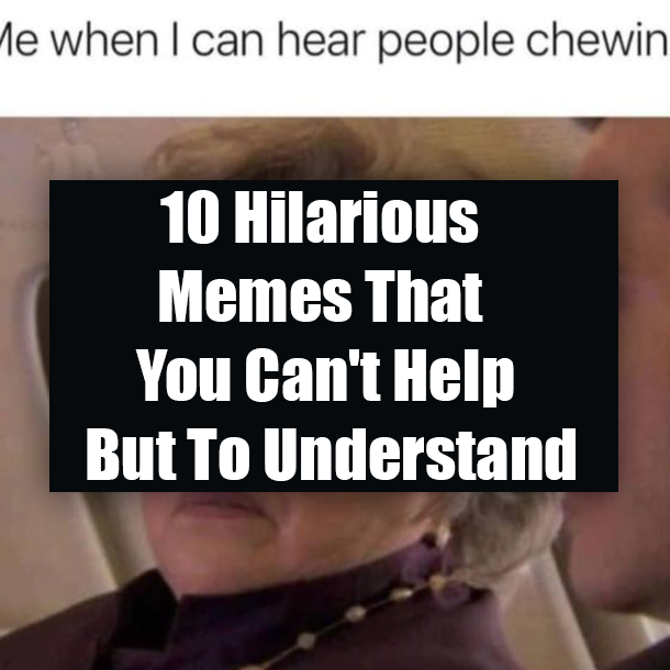 10 Hilarious Memes That You Can't Help But To Understand