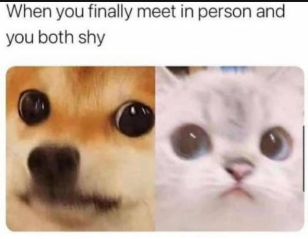 10 Hilarious Memes That You Can't Help But To Understand - picture 7