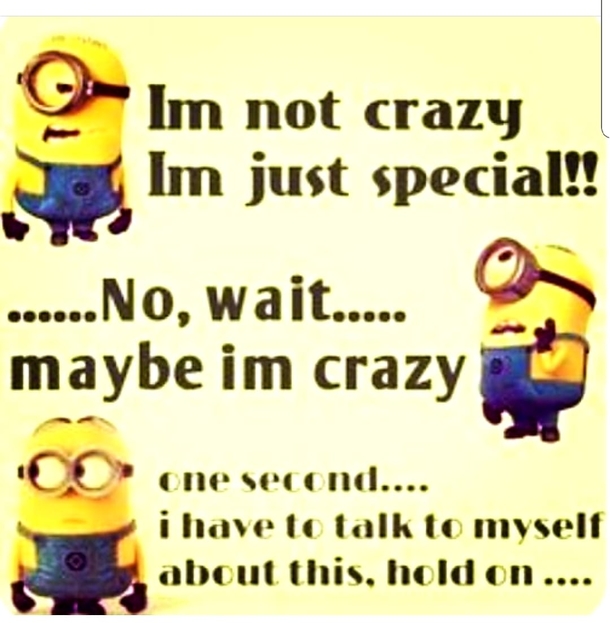 10 Hilarious Minion Quotes To Make Your Day - picture 2