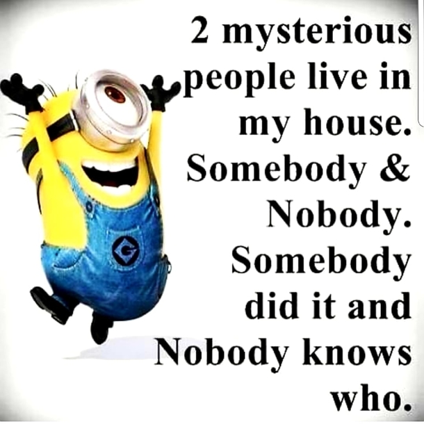 10 Hilarious Minion Quotes To Make Your Day - picture 7