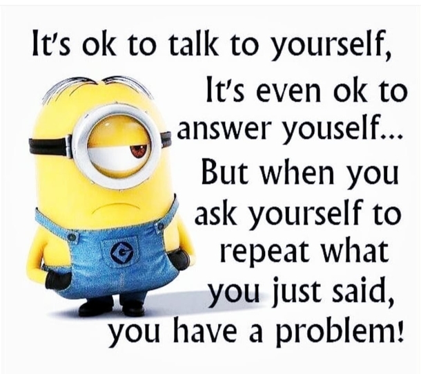 10 Hilarious Minion Quotes To Make Your Day - picture 8