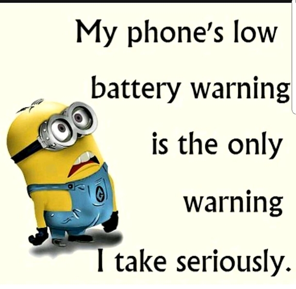 10 Hilarious Minion Quotes To Make Your Day - picture 9