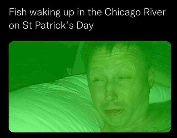 10 Hilarious St. Patrick's Day Memes for 2024 to Embrace the Irish Spirit - picture 2