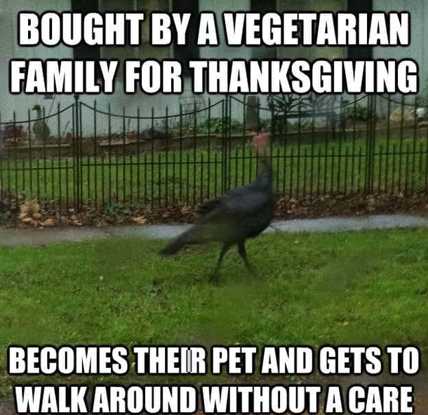 10 Hilarious Thanksgiving Memes That Describe Thanksgiving Day Perfectly! - picture 2