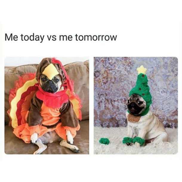 10 Hilarious Thanksgiving Memes That Describe Thanksgiving Day Perfectly! - picture 9