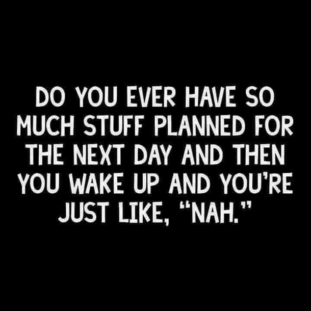 10 Hilarious & Funny Quotes To Start A New Week - picture 4