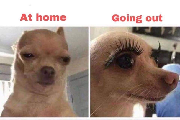 10 Hilariously Funny Memes Of The Day - picture 2
